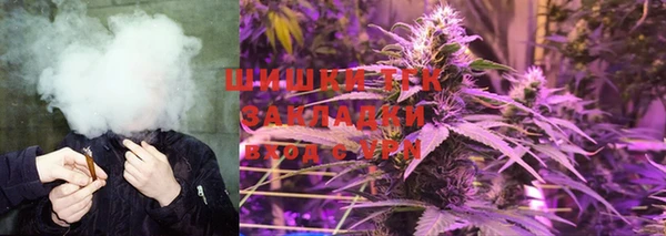 соль ск Каменка