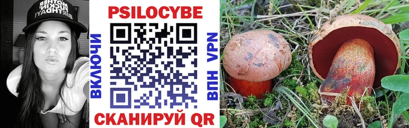 магазин    omg tor  Псилоцибиновые грибы ЛСД  Козловка 